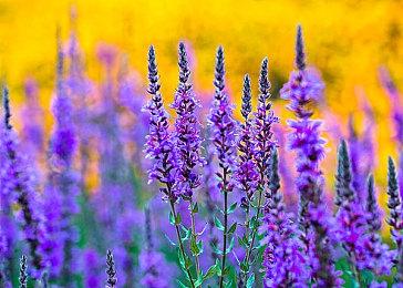 派对合作游戏《胡闹搬家2》全新无障碍设计与辅助模式介绍